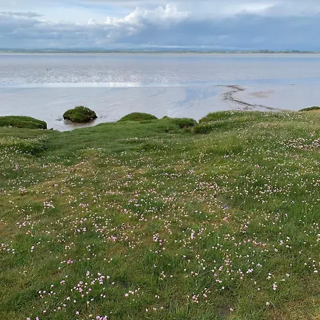 Rose On The Peaceful Solway Coast *