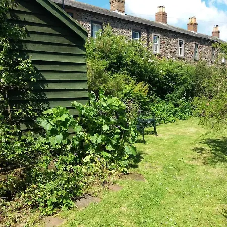Rose On The Peaceful Solway Coast